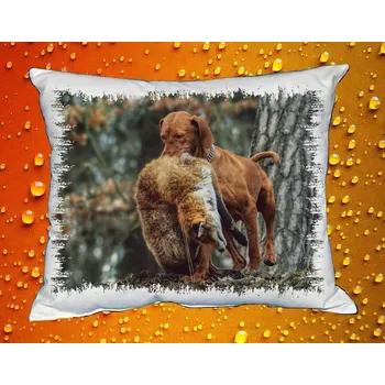 Dekorativní polštářek Polštářek pro myslivce č. 63 (MYSLIVECKÝ POLŠTÁŘ)