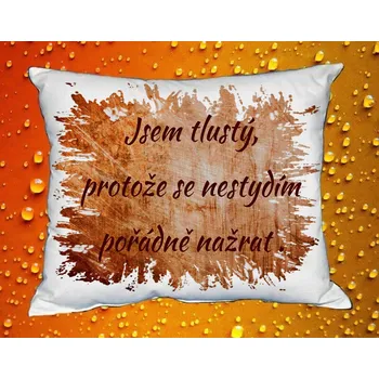 Dekorativní polštářek Polštář jsem tlustý, protože se nestydím pořádně nažrat III