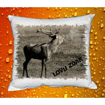 Dekorativní polštářek Polštářek pro myslivce č. 37