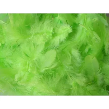 Svatební dekorace Svatba-eshop Dekorační peří světle zelené - peříčka světle zelená