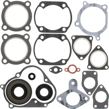 Těsnění motoru Sada těsnění motoru kompletní vč. gufer motoru WINDEROSA CGKOS 711142