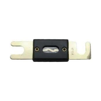 Autoelektrika Autopojistka ANL F-05 200A