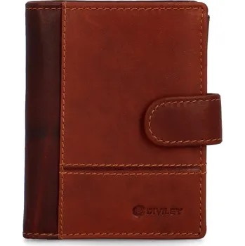 Peněženka Pánská kožená peněženka na výšku Diviley Algren, koňaková