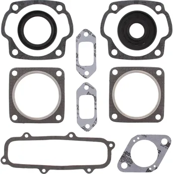 Těsnění motoru Sada těsnění motoru kompletní vč. gufer motoru WINDEROSA CGKOS 711012E