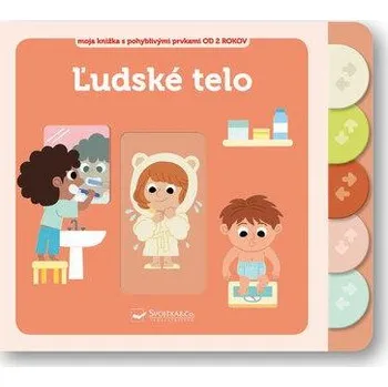 Leporelo Ľudské telo Moja knižka s pohyblivými prvkami - Ilaria Falorsi