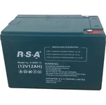 Racceway 6-DZM-12 48V 12Ah