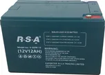 Racceway 6-DZM-12 48V 12Ah