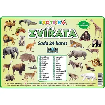 Bystrá hlava Exotická zvířata: Sada 24 karet - Kupka nakladatelství (2010, karty)