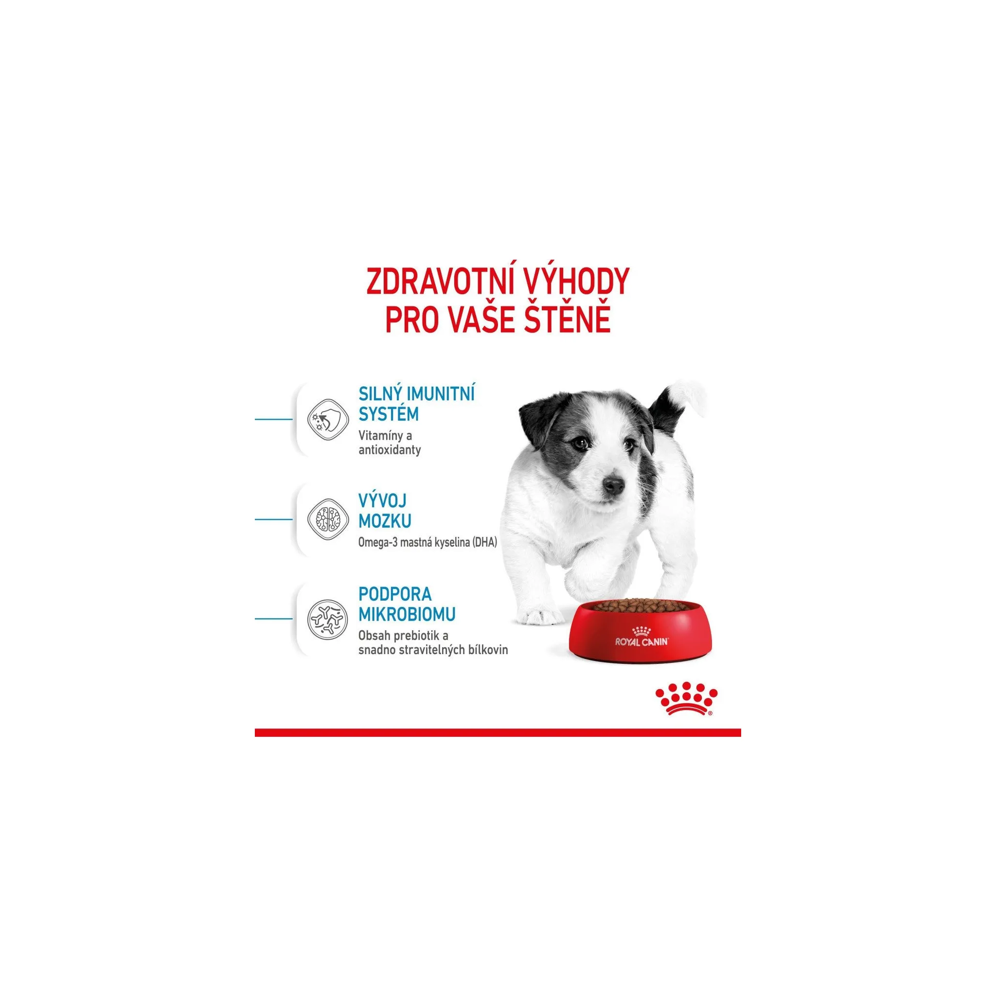 Fotografie 12 - Krmivo pro psa Royal Canin Mini Puppy 4 kg