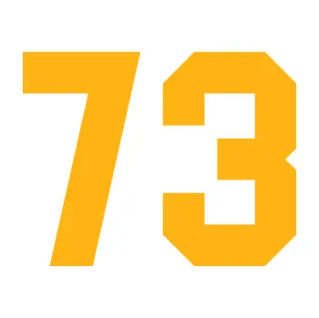 Polep vozidla Startovní číslo 73 (21 - světle oranžová) SAMOLEPKA NA AUTO, NÁLEPKA, FÓLIE, POLEP, TUNING, VLASTNÍ TEXT, TISK, AUTOSAMOLEPKY.cz, POLEPY, OBRÁZEK, LOGO, 3D STICKERS