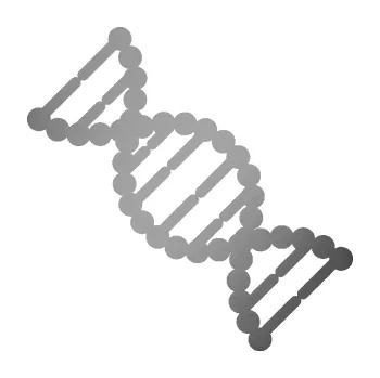 samolepka Vzorec DNA levá (42 - stříbrná metalíza) SAMOLEPKA NA AUTO, NÁLEPKA, FÓLIE, POLEP, TUNING, VLASTNÍ TEXT, TISK, AUTOSAMOLEPKY.cz, POLEPY, OBRÁZEK, LOGO, 3D STICKERS
