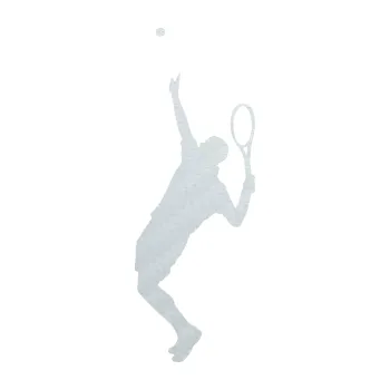 Polep vozidla Tenista 016 levá (51 - 3D karbon bílý) SAMOLEPKA NA AUTO, NÁLEPKA, FÓLIE, POLEP, TUNING, VLASTNÍ TEXT, TISK, AUTOSAMOLEPKY.cz, POLEPY, OBRÁZEK, LOGO, 3D STICKERS