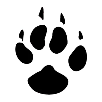 Samolepící dekorace SAMOLEPKA Tlapka 002 pravá (01 - černá) NA AUTO, NÁLEPKA, FÓLIE, POLEP, TUNING, VLASTNÍ TEXT, TISK, AUTOSAMOLEPKY.cz, POLEPY, OBRÁZEK, LOGO, SAMOLEPKY