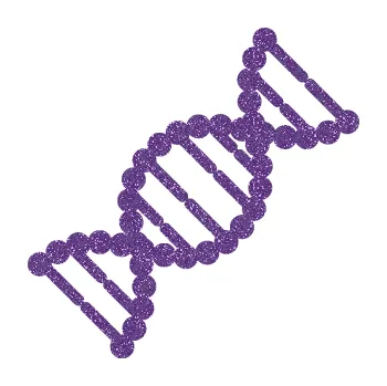 samolepka Vzorec DNA pravá (87 - Ultra Metalic fialová) SAMOLEPKA NA AUTO, NÁLEPKA, FÓLIE, POLEP, TUNING, VLASTNÍ TEXT, TISK, AUTOSAMOLEPKY.cz, POLEPY, OBRÁZEK, LOGO, 3D STICKERS
