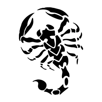 Polep vozidla Štír 016 pravá (01 - černá) SAMOLEPKA NA AUTO, NÁLEPKA, FÓLIE, POLEP, TUNING, VLASTNÍ TEXT, TISK, AUTOSAMOLEPKY.cz, POLEPY, OBRÁZEK, LOGO, 3D STICKERS