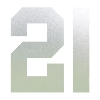 Polep vozidla Startovní číslo 21 (60 - pískované sklo) SAMOLEPKA NA AUTO, NÁLEPKA, FÓLIE, POLEP, TUNING, VLASTNÍ TEXT, TISK, AUTOSAMOLEPKY.cz, POLEPY, OBRÁZEK, LOGO, 3D STICKERS