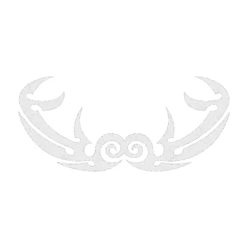 Polep vozidla Tetování 055 (84 - Ultra Metalic bílá) SAMOLEPKA NA AUTO, NÁLEPKA, FÓLIE, POLEP, TUNING, VLASTNÍ TEXT, TISK, AUTOSAMOLEPKY.cz, POLEPY, OBRÁZEK, LOGO, 3D STICKERS