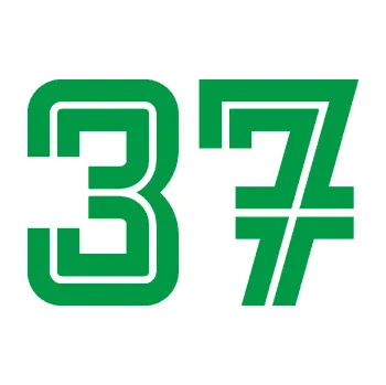 Polep vozidla Startovní číslo 37 typ 7 (12 - zelená) SAMOLEPKA NA AUTO, NÁLEPKA, FÓLIE, POLEP, TUNING, VLASTNÍ TEXT, TISK, AUTOSAMOLEPKY.cz, POLEPY, OBRÁZEK, LOGO, 3D STICKERS