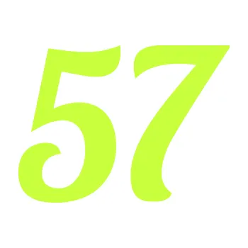 Polep vozidla Startovní číslo 57 typ 3 (27 - limetová) SAMOLEPKA NA AUTO, NÁLEPKA, FÓLIE, POLEP, TUNING, VLASTNÍ TEXT, TISK, AUTOSAMOLEPKY.cz, POLEPY, OBRÁZEK, LOGO, 3D STICKERS