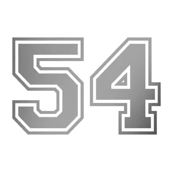 Polep vozidla Startovní číslo 54 typ 4 (42 - stříbrná metalíza) SAMOLEPKA NA AUTO, NÁLEPKA, FÓLIE, POLEP, TUNING, VLASTNÍ TEXT, TISK, AUTOSAMOLEPKY.cz, POLEPY, OBRÁZEK, LOGO, 3D STICKERS