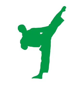 Polep vozidla Taekwondo 002 pravá (12 - zelená) SAMOLEPKA NA AUTO, NÁLEPKA, FÓLIE, POLEP, TUNING, VLASTNÍ TEXT, TISK, AUTOSAMOLEPKY.cz, POLEPY, OBRÁZEK, LOGO, 3D STICKERS
