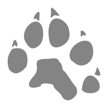 Samolepící dekorace SAMOLEPKA Tlapka 003 pravá (17 - šedá) NA AUTO, NÁLEPKA, FÓLIE, POLEP, TUNING, VLASTNÍ TEXT, TISK, AUTOSAMOLEPKY.cz, POLEPY, OBRÁZEK, LOGO, SAMOLEPKY