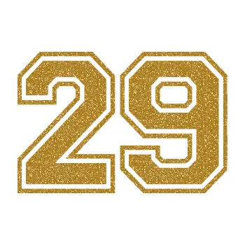 Polep vozidla Startovní číslo 29 typ 4 (92 - Ultra Metalic zlatá) SAMOLEPKA NA AUTO, NÁLEPKA, FÓLIE, POLEP, TUNING, VLASTNÍ TEXT, TISK, AUTOSAMOLEPKY.cz, POLEPY, OBRÁZEK, LOGO, 3D STICKERS