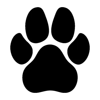 samolepka Tlapka 008 (01 - černá) SAMOLEPKA NA AUTO, NÁLEPKA, FÓLIE, POLEP, TUNING, VLASTNÍ TEXT, TISK, AUTOSAMOLEPKY.cz, POLEPY, OBRÁZEK, LOGO, 3D STICKERS