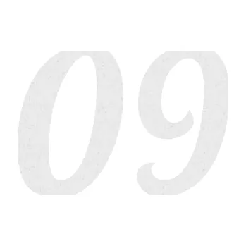 Polep vozidla Startovní číslo 09 typ 3 (84 - Ultra Metalic bílá) SAMOLEPKA NA AUTO, NÁLEPKA, FÓLIE, POLEP, TUNING, VLASTNÍ TEXT, TISK, AUTOSAMOLEPKY.cz, POLEPY, OBRÁZEK, LOGO, 3D STICKERS