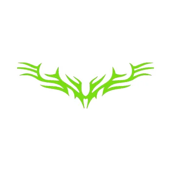 Polep vozidla Tetování 008 (04 - zelená kawasaki) SAMOLEPKA NA AUTO, NÁLEPKA, FÓLIE, POLEP, TUNING, VLASTNÍ TEXT, TISK, AUTOSAMOLEPKY.cz, POLEPY, OBRÁZEK, LOGO, 3D STICKERS