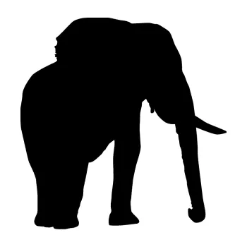 Samolepící dekorace SAMOLEPKA Slon 007 pravá (01 - černá) NA AUTO, NÁLEPKA, FÓLIE, POLEP, TUNING, VLASTNÍ TEXT, TISK, AUTOSAMOLEPKY.cz, POLEPY, OBRÁZEK, LOGO, SAMOLEPKY