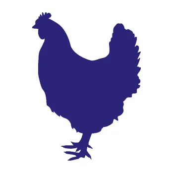 Samolepicí dekorace na vozidlo Slepička 002 levá (22 - střední modrá) SAMOLEPKA NA AUTO, NÁLEPKA, FÓLIE, POLEP, TUNING, VLASTNÍ TEXT, TISK, AUTOSAMOLEPKY.cz, POLEPY, OBRÁZEK, LOGO, 3D STICKERS