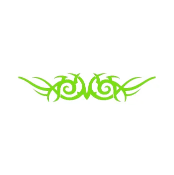 Polep vozidla Tetování 058 (04 - zelená kawasaki) SAMOLEPKA NA AUTO, NÁLEPKA, FÓLIE, POLEP, TUNING, VLASTNÍ TEXT, TISK, AUTOSAMOLEPKY.cz, POLEPY, OBRÁZEK, LOGO, 3D STICKERS