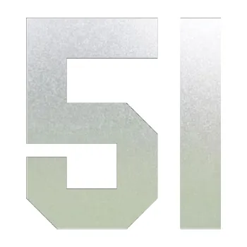 Polep vozidla Startovní číslo 51 (60 - pískované sklo) SAMOLEPKA NA AUTO, NÁLEPKA, FÓLIE, POLEP, TUNING, VLASTNÍ TEXT, TISK, AUTOSAMOLEPKY.cz, POLEPY, OBRÁZEK, LOGO, 3D STICKERS