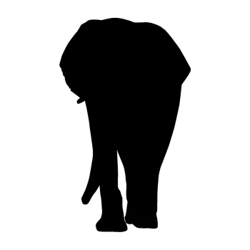 Samolepící dekorace Slon 008 levá (01 - černá) SAMOLEPKA NA AUTO, NÁLEPKA, FÓLIE, POLEP, TUNING, VLASTNÍ TEXT, TISK, AUTOSAMOLEPKY.cz, POLEPY, OBRÁZEK, LOGO, 3D STICKERS