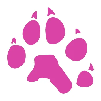 Samolepící dekorace Tlapka 003 pravá (16 - růžová) SAMOLEPKA NA AUTO, NÁLEPKA, FÓLIE, POLEP, TUNING, VLASTNÍ TEXT, TISK, AUTOSAMOLEPKY.cz, POLEPY, OBRÁZEK, LOGO, 3D STICKERS