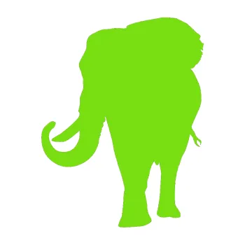 Samolepící dekorace SAMOLEPKA Slon 010 levá (04 - zelená kawasaki) NA AUTO, NÁLEPKA, FÓLIE, POLEP, TUNING, VLASTNÍ TEXT, TISK, AUTOSAMOLEPKY.cz, POLEPY, OBRÁZEK, LOGO, SAMOLEPKY