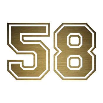 Polep vozidla Startovní číslo 58 typ 4 (64 - škrábaný kov zlatý) SAMOLEPKA NA AUTO, NÁLEPKA, FÓLIE, POLEP, TUNING, VLASTNÍ TEXT, TISK, AUTOSAMOLEPKY.cz, POLEPY, OBRÁZEK, LOGO, 3D STICKERS