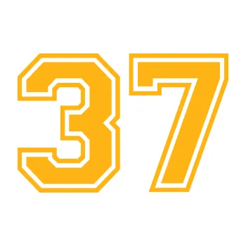 Polep vozidla Startovní číslo 37 typ 4 (21 - světle oranžová) SAMOLEPKA NA AUTO, NÁLEPKA, FÓLIE, POLEP, TUNING, VLASTNÍ TEXT, TISK, AUTOSAMOLEPKY.cz, POLEPY, OBRÁZEK, LOGO, 3D STICKERS