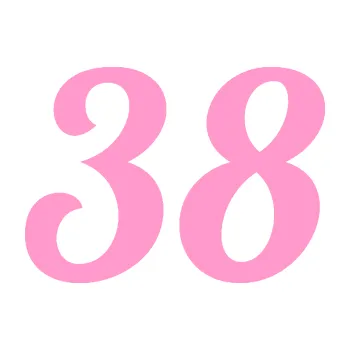 Polep vozidla Startovní číslo 38 typ 3 (24 - světle růžová) SAMOLEPKA NA AUTO, NÁLEPKA, FÓLIE, POLEP, TUNING, VLASTNÍ TEXT, TISK, AUTOSAMOLEPKY.cz, POLEPY, OBRÁZEK, LOGO, 3D STICKERS