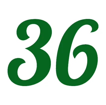 Polep vozidla Startovní číslo 36 typ 3 (20 - tmavě zelená) SAMOLEPKA NA AUTO, NÁLEPKA, FÓLIE, POLEP, TUNING, VLASTNÍ TEXT, TISK, AUTOSAMOLEPKY.cz, POLEPY, OBRÁZEK, LOGO, 3D STICKERS