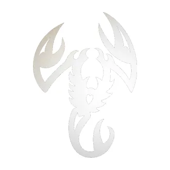 Polep vozidla SAMOLEPKA Štír 003 levá (82 - odrazková reflexní bílá) NA AUTO, NÁLEPKA, FÓLIE, POLEP, TUNING, VLASTNÍ TEXT, TISK, AUTOSAMOLEPKY.cz, POLEPY, OBRÁZEK, LOGO, SAMOLEPKY