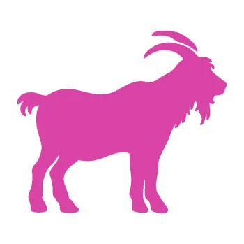 Samolepící dekorace SAMOLEPKA Kozel 008 pravá silueta (16 - růžová) NA AUTO, NÁLEPKA, FÓLIE, POLEP, TUNING, VLASTNÍ TEXT, TISK, AUTOSAMOLEPKY.cz, POLEPY, OBRÁZEK, LOGO, SAMOLEPKY