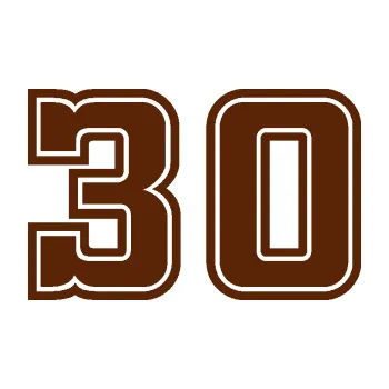 Polep vozidla Startovní číslo 30 typ 5 (15 - hnědá) SAMOLEPKA NA AUTO, NÁLEPKA, FÓLIE, POLEP, TUNING, VLASTNÍ TEXT, TISK, AUTOSAMOLEPKY.cz, POLEPY, OBRÁZEK, LOGO, 3D STICKERS