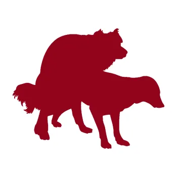 Samolepicí dekorace na vozidlo Veselí pejsci pravá (07 - bordó vínová) SAMOLEPKA NA AUTO, NÁLEPKA, FÓLIE, POLEP, TUNING, VLASTNÍ TEXT, TISK, AUTOSAMOLEPKY.cz, POLEPY, OBRÁZEK, LOGO, 3D STICKERS