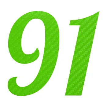 Polep vozidla Startovní číslo 91 typ 3 (58 - 3D karbon zelený kawasaki) SAMOLEPKA NA AUTO, NÁLEPKA, FÓLIE, POLEP, TUNING, VLASTNÍ TEXT, TISK, AUTOSAMOLEPKY.cz, POLEPY, OBRÁZEK, LOGO, 3D STICKERS