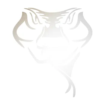 Samolepící dekorace SAMOLEPKA Zmije 001 pravá (82 - odrazková reflexní bílá) NA AUTO, NÁLEPKA, FÓLIE, POLEP, TUNING, VLASTNÍ TEXT, TISK, AUTOSAMOLEPKY.cz, POLEPY, OBRÁZEK, LOGO, SAMOLEPKY