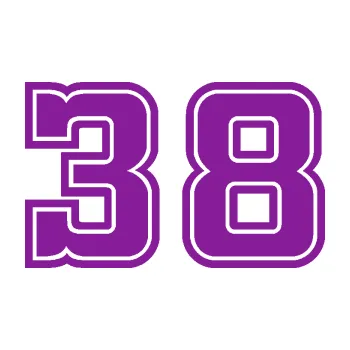 Polep vozidla Startovní číslo 38 typ 5 (14 - fialová) SAMOLEPKA NA AUTO, NÁLEPKA, FÓLIE, POLEP, TUNING, VLASTNÍ TEXT, TISK, AUTOSAMOLEPKY.cz, POLEPY, OBRÁZEK, LOGO, 3D STICKERS