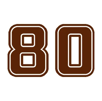 Polep vozidla Startovní číslo 80 typ 5 (15 - hnědá) SAMOLEPKA NA AUTO, NÁLEPKA, FÓLIE, POLEP, TUNING, VLASTNÍ TEXT, TISK, AUTOSAMOLEPKY.cz, POLEPY, OBRÁZEK, LOGO, 3D STICKERS