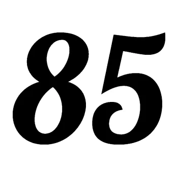 Polep vozidla Startovní číslo 85 typ 3 (01 - černá) SAMOLEPKA NA AUTO, NÁLEPKA, FÓLIE, POLEP, TUNING, VLASTNÍ TEXT, TISK, AUTOSAMOLEPKY.cz, POLEPY, OBRÁZEK, LOGO, 3D STICKERS